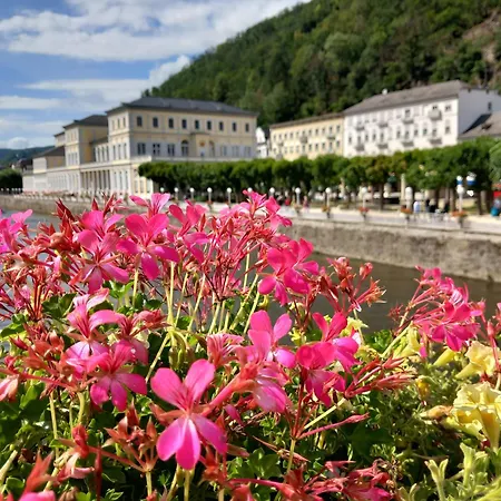 Im Roten Haus Apartment Bad Ems