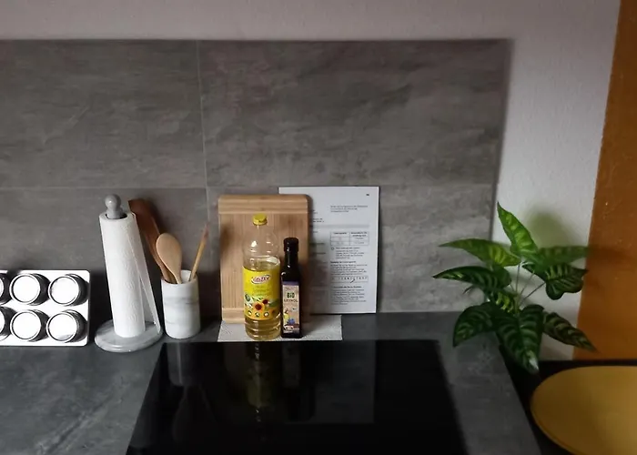 Apartman Im Roten Haus, Therme Ist Fusslaeufig In 350m Zu Erreichen Bad Ems