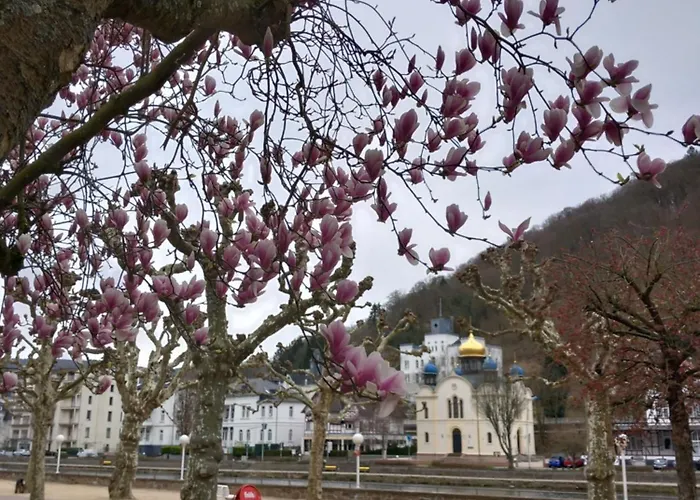 Im Roten Haus, Therme Ist Fusslaeufig In 350m Zu Erreichen